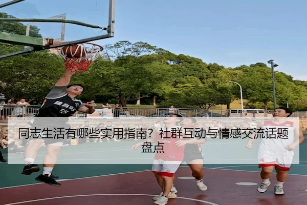 同志生活有哪些实用指南？社群互动与情感交流话题盘点